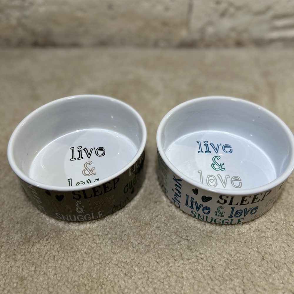Large Pet Bowls 🐶😺